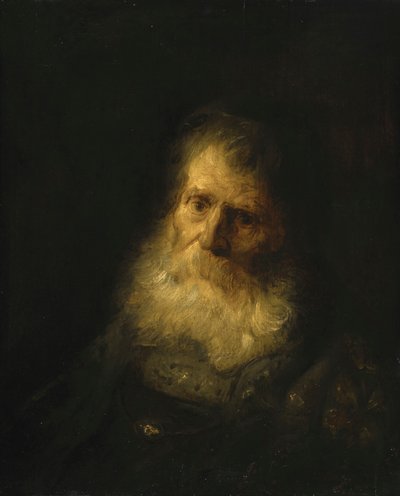 A Tronie: Hlava a ramena starého vousáče od Jan Lievens