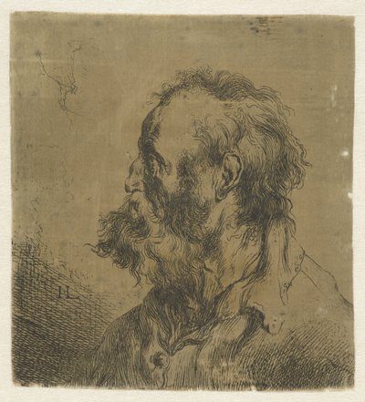 Busta starého muže s plnovousem Různé tronikens geets od J. L. (název série) od Jan Lievens
