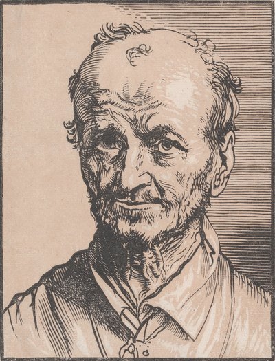 Busta muže, 17. století. od Jan Lievens