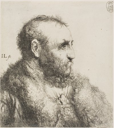 Busta starého muže od Jan Lievens