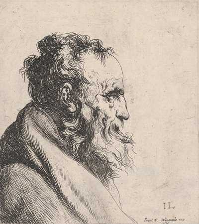Busta starého muže, 1620-74. od Jan Lievens
