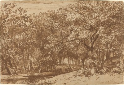 Jelení obora od Jan Lievens