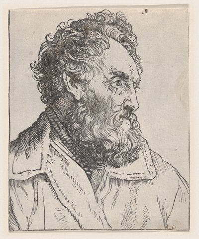 Hlava muže, 17. století. od Jan Lievens