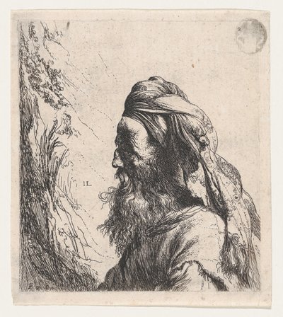 Muž v turbanu obrácený doleva od Jan Lievens