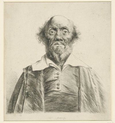 Portrét starého muže od Jan Lievens