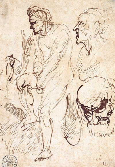 Studie podle modelu od Jan Lievens