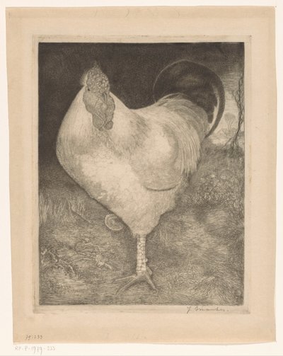 Kohout na jedné noze od Jan Mankes (signed by artist)