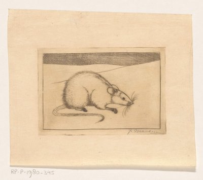Myš od Jan Mankes (signed by artist)