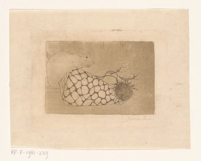 Myš, mušle a bodlák od Jan Mankes (signed by artist)