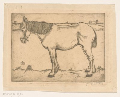 Kůň od Jan Mankes (signed by artist)