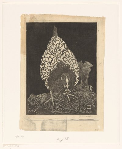 stříbrná wyandotte od Jan Mankes (signed by artist)