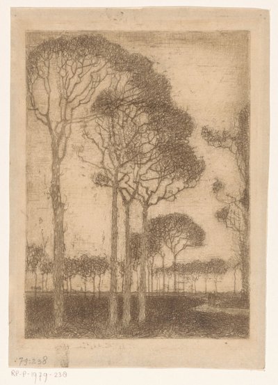 Stromy na okraji Oranjewoud od Jan Mankes