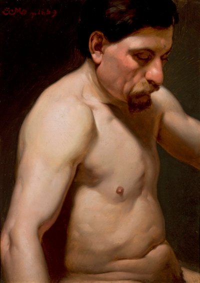 Polština: Polonahý muž od Jan Matejko