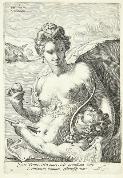 Venuše a Amor od Jan Saenredam