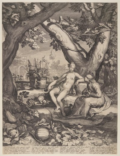 Vertumnus a Pomona od Jan Saenredam