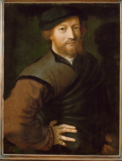 Mužský portrét (malba na dubovém dřevě) od Jan Sanders van Hemessen