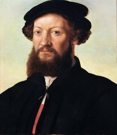Portrét muže - Jan Sanders van Hemessen (asi 1500-asi 1566). Olej na dřevě, cca 1555. Rozměr : 47x39 cm. Uměleckohistorické muzeum, Vienne od Jan Sanders van Hemessen
