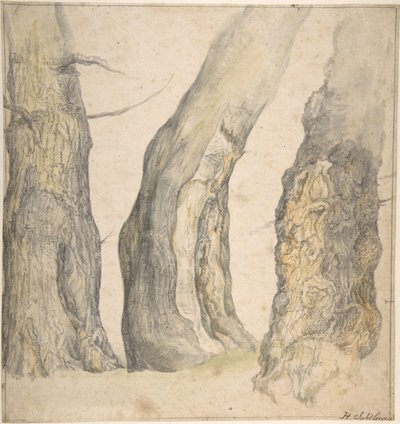 Studie tří starých sukovitých stromů, 1660. od Jan Siberechts
