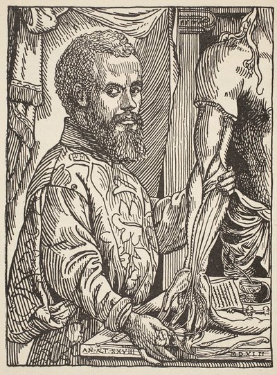 Andre Vesale, opis Boris Mestchersky († 1957), ilustrace z Histoire de la Nation Francaise, Sciences, Volume I and II, Gabriel Hanotaux (1853-1944), 1924 od Jan Stephen van Calcar