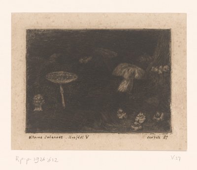 houby od Jan Veth (signed by artist)