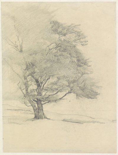  od Jan Veth