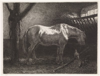 Kůň ve stáji od Johannes Martinus Vrolijk