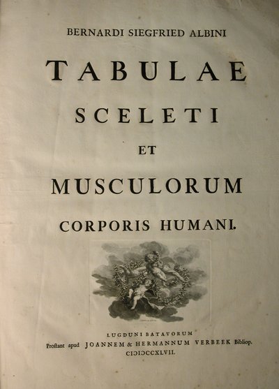 Albinus I, titulní strana, z knihy "Tabulae sceleti et musculorum corporis humani", kterou napsal Bernhard Siegfried Albinus (1697-1770), vydal J.undH. Verbeek, bibliop., Leiden, 1747 od Jan Wandelaar