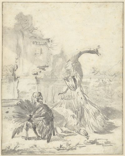 Hoenderhof s pávem a dvěma krocany od Jan Baptist Weenix