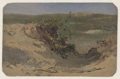 DUI Nirvana od Jan Willem van Borselen