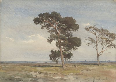 Pohled na vřesoviště se dvěma stromy od Jan Willem van Borselen