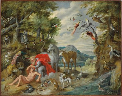 Stvoření Adama, z Příběhu Adama a Evy od Jan Brueghel the Younger