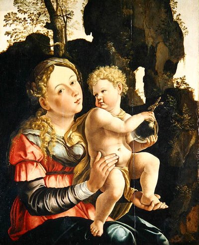 Madonna a dítě (olej na panelu) od Jan van (studio of) Scorel