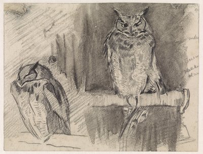 Dvě studie sovy od Jan van Essen