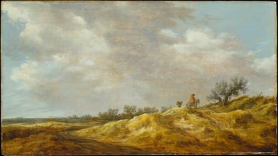  od Jan van Goyen