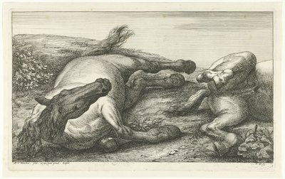 Dva padlí koně, levý při pohledu zepředu Mrtví koně (název série) od Jan van Huchtenburg