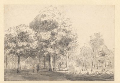 Pohled na Haarlemmerhout, Haarlem od Jan van Kessel (attributed to)