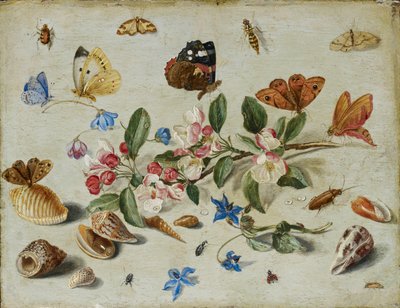 Květiny a hmyz, pozdní 1650 nebo začátek 1660 od Jan van Kessel