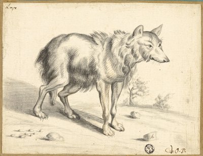 Vlk od Jan van Os