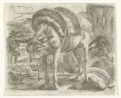 Pakezel od Jan van Ossenbeeck