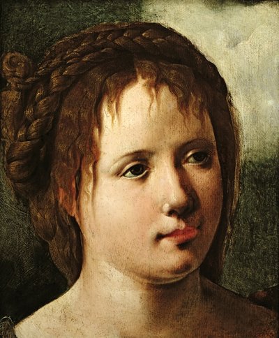 Hlava dívky, 153035 od Jan van Scorel
