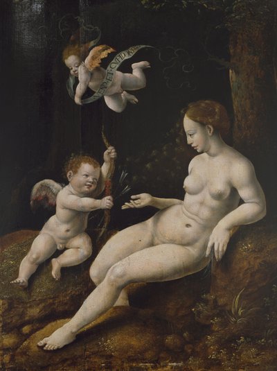 Venuše a dva Amorové, cca 1528 (olej na panelu) od Jan van Scorel