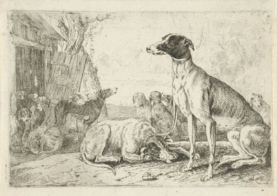 psí bouda Zvířata (název seriálu) Zoographiam (název série) od Jan van den Hecke