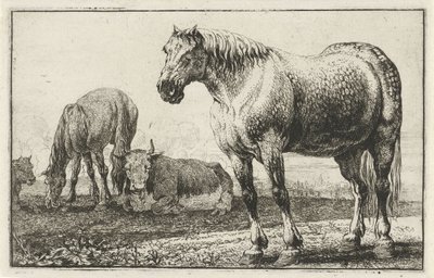 Koně a krávy Zvířata (název seriálu) Zoographiam (název série) od Jan van den Hecke