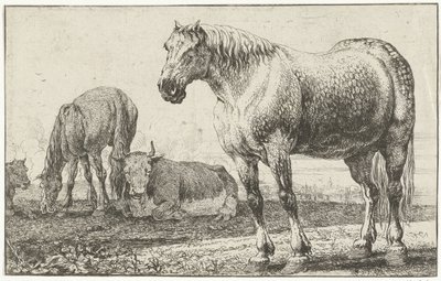 Pferde und Kühe
Tiere (Serientitel) von Jan van den Hecke