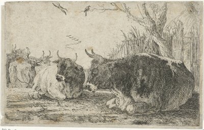 odpočívající krávy Zvířata (název seriálu) Zoographiam (název série) od Jan van den Hecke