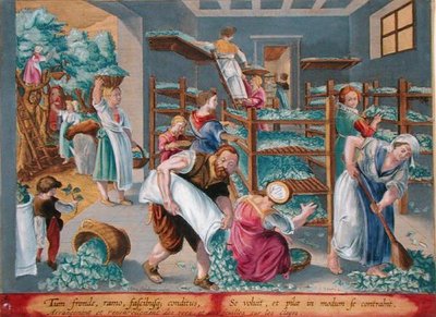 Ženy lemující police s listy moruše pro bource morušového, deska 5 od „Vermis Sericus“ (Hedvábník), vyrytý Philipem Gallem (1537-1612) (rytina) od Jan van der Straet
