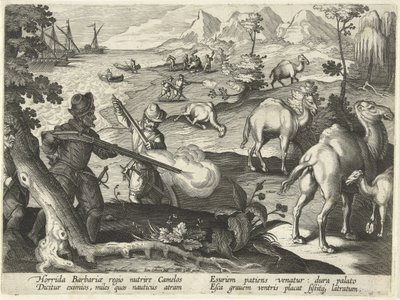 Námořníci v příšerné barbarské zemi zabíjejí velbloudy mušketami, aby jim ulevili od hladu, ilustrace z 