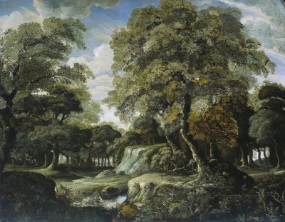 Pohled v lese od Jan van der Heyden