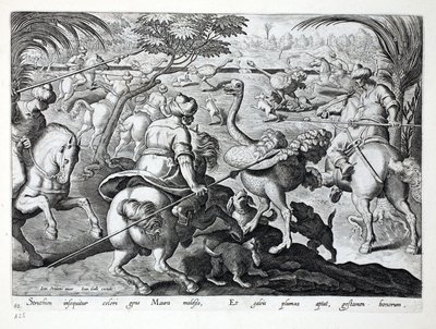 Moors on Horseback Hunting Pštrosi, TD 62, ilustrace z 
