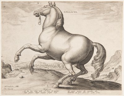 Francouzský kůň z prvního souboru "Equile Joannis Austriaci" od Jan van der Straet, called Stradanus